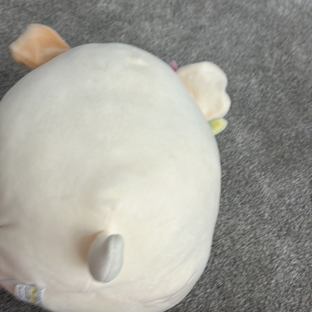 squishmallows - Picture 2 of 4